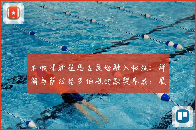 利物浦新星恩古莫哈融入秘诀:详解与萨拉赫罗伯逊的默契养成,展望2026赛季关键成长路径